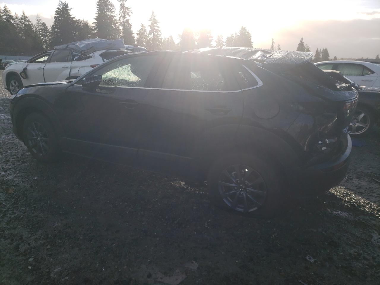 Lot #3033485106 2024 MAZDA CX-30