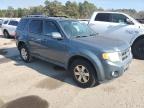 Lot #3030779087 2012 FORD ESCAPE