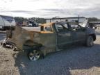 Lot #3025064183 2023 CHEVROLET SILVERADO