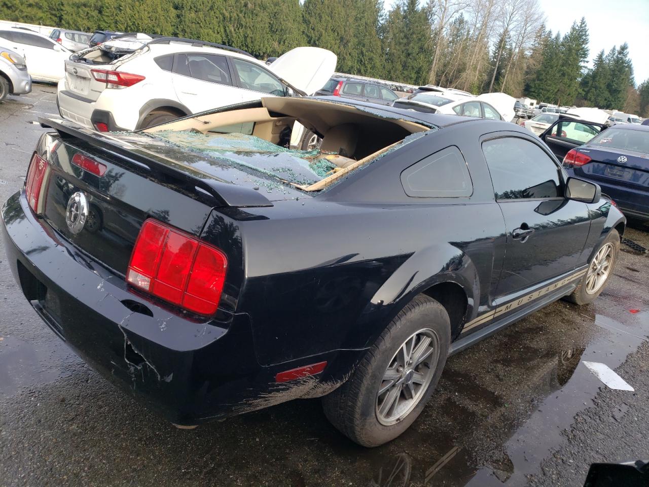 Lot #3045593672 2005 FORD MUSTANG