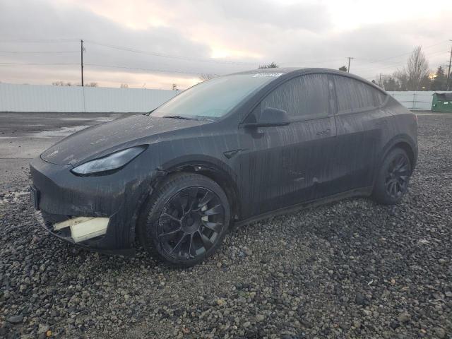 2023 TESLA MODEL Y - 7SAYGDEE7PF811741
