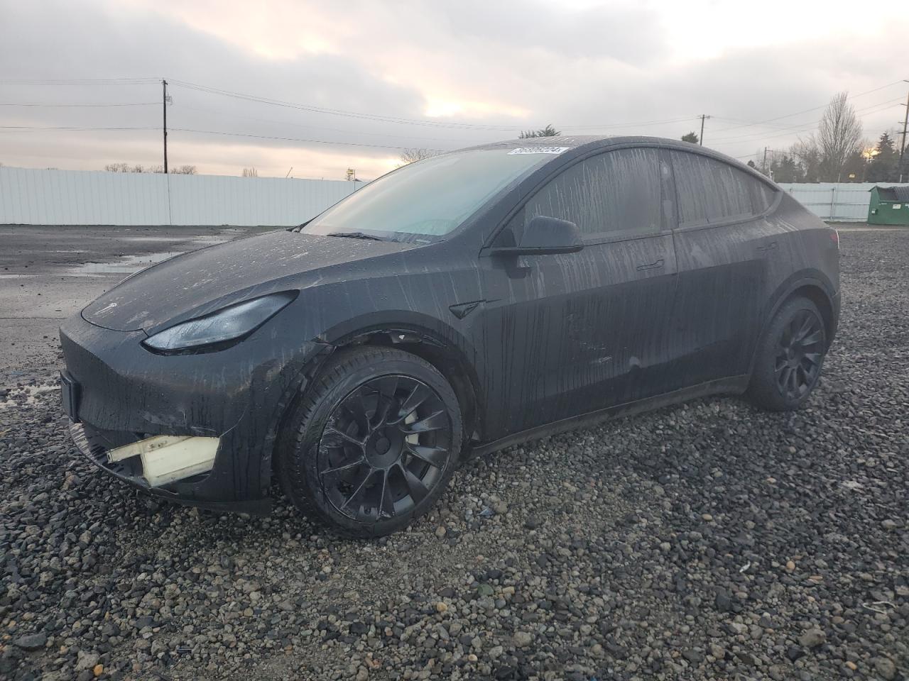  Salvage Tesla Model Y