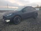 2023 TESLA MODEL Y - 7SAYGDEE7PF811741