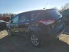 Lot #3024736319 2014 FORD ESCAPE SE