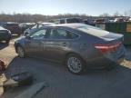 Lot #3025620059 2013 TOYOTA AVALON HYB