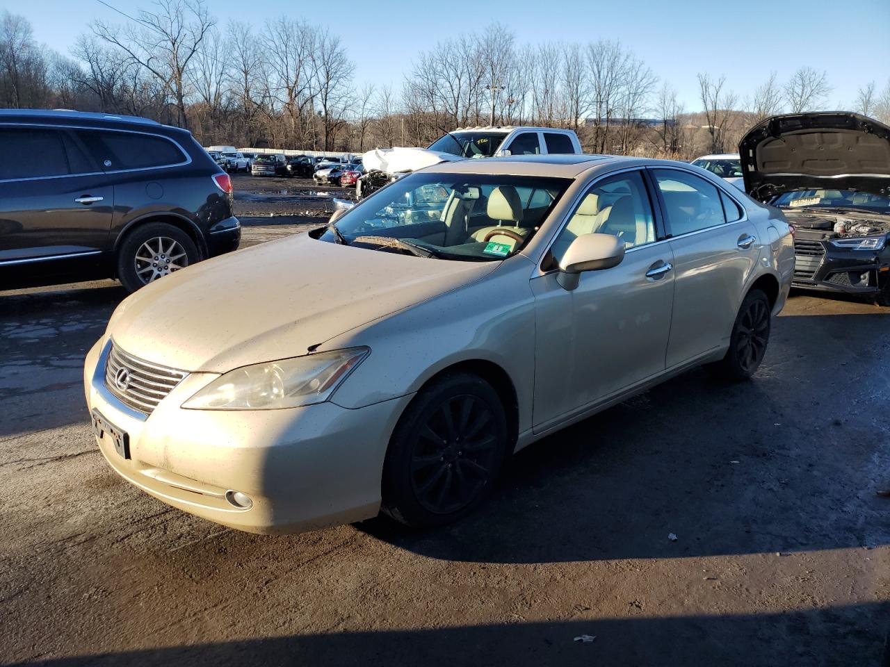 Lot #3033011994 2007 LEXUS ES 350