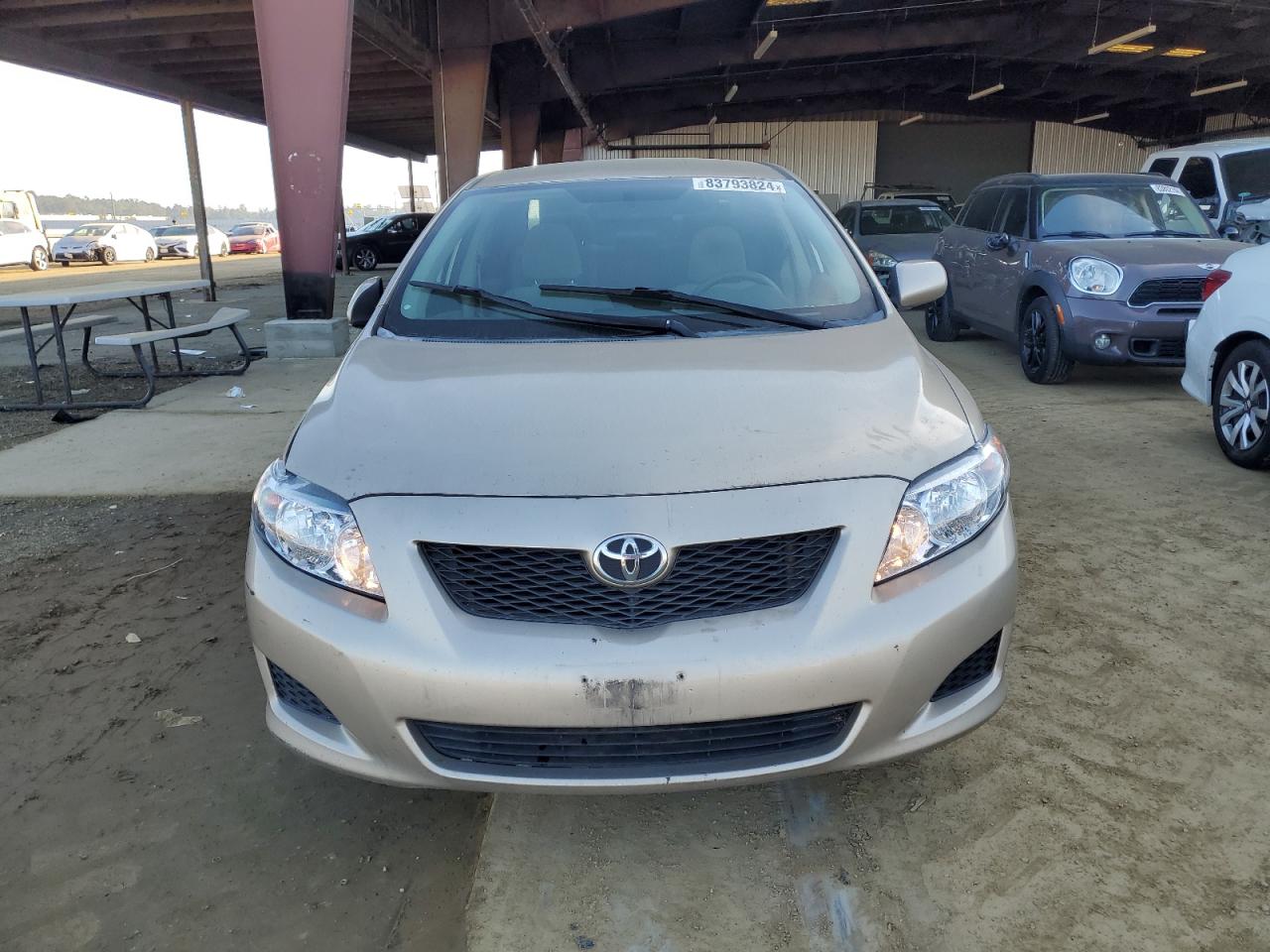 Lot #3024718740 2009 TOYOTA COROLLA BA