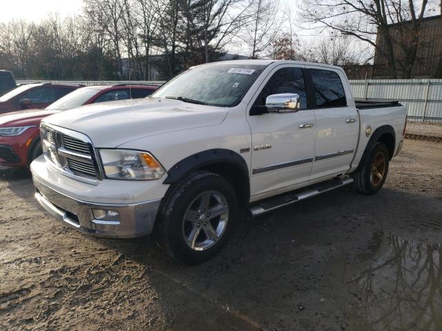 2009 DODGE RAM 1500 #3033264811