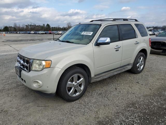 2009 FORD ESCAPE XLT #3030784439