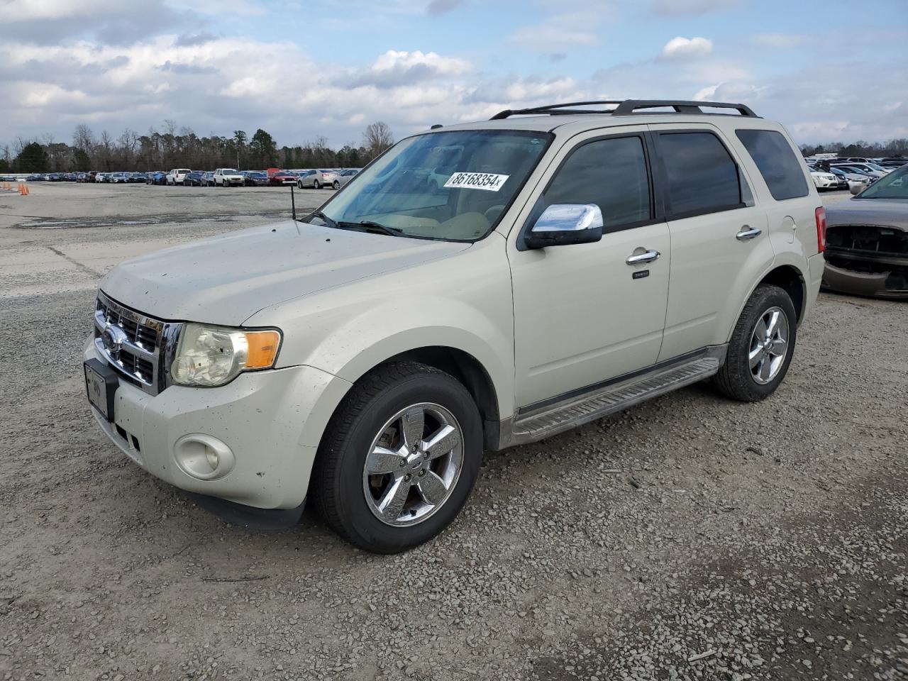 Lot #3030784439 2009 FORD ESCAPE XLT