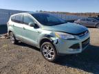 Lot #3024736372 2013 FORD ESCAPE SEL