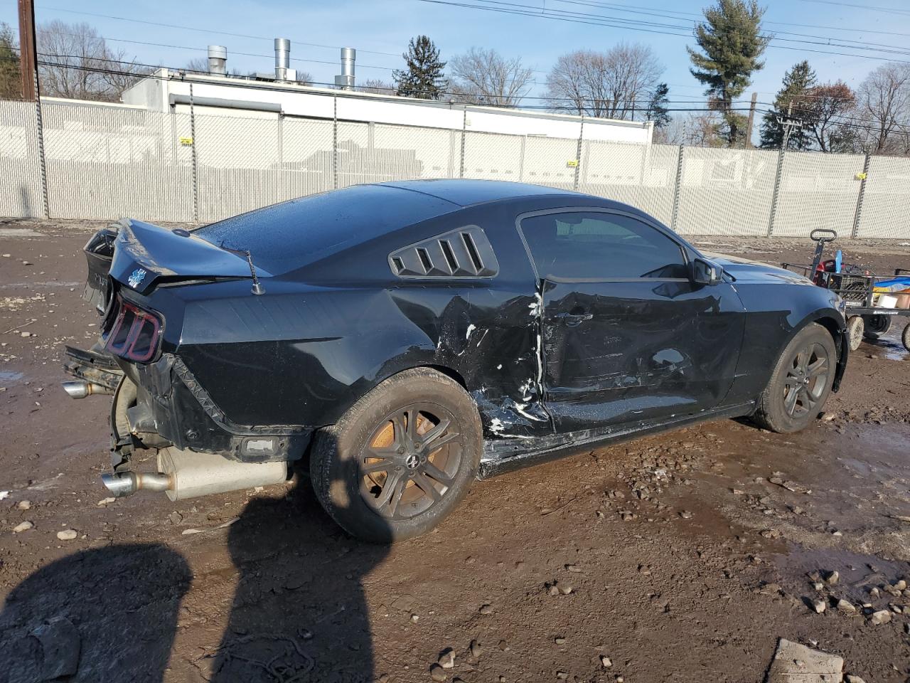 Lot #3038104189 2014 FORD MUSTANG