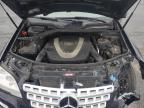 Lot #3024880426 2011 MERCEDES-BENZ ML 350 4MA