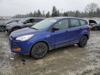 Lot #3024197880 2015 FORD ESCAPE S