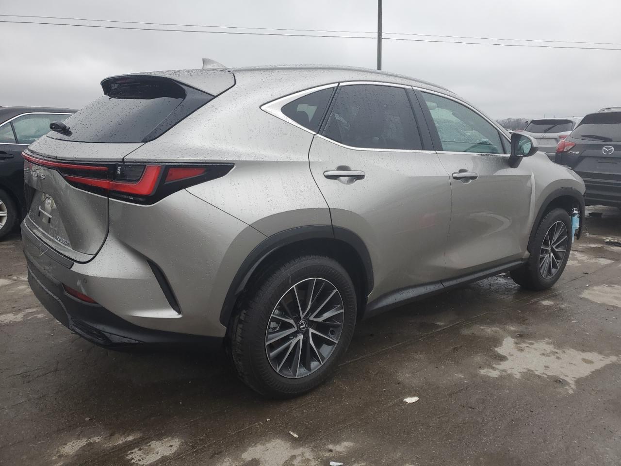 Lot #3029616082 2025 LEXUS NX 250 PRE