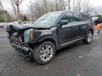 2020 KIA TELLURIDE - 5XYP2DHC0LG002702