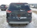 Lot #3025166219 2015 FORD ESCAPE SE