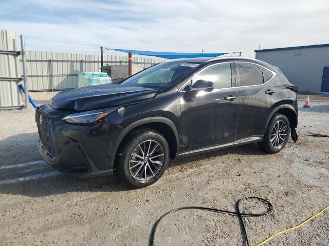 2024 LEXUS NX 350 PRE #3030997842