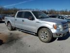 Lot #3033432096 2014 FORD F 150