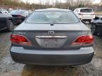 Lot #3025053187 2006 LEXUS ES 330