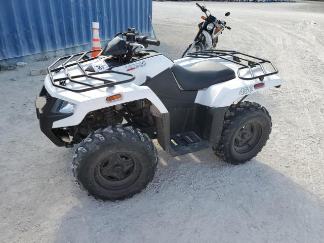 TRAC 450 2023 white   RFB23ATV2PK6E0219 photo #3