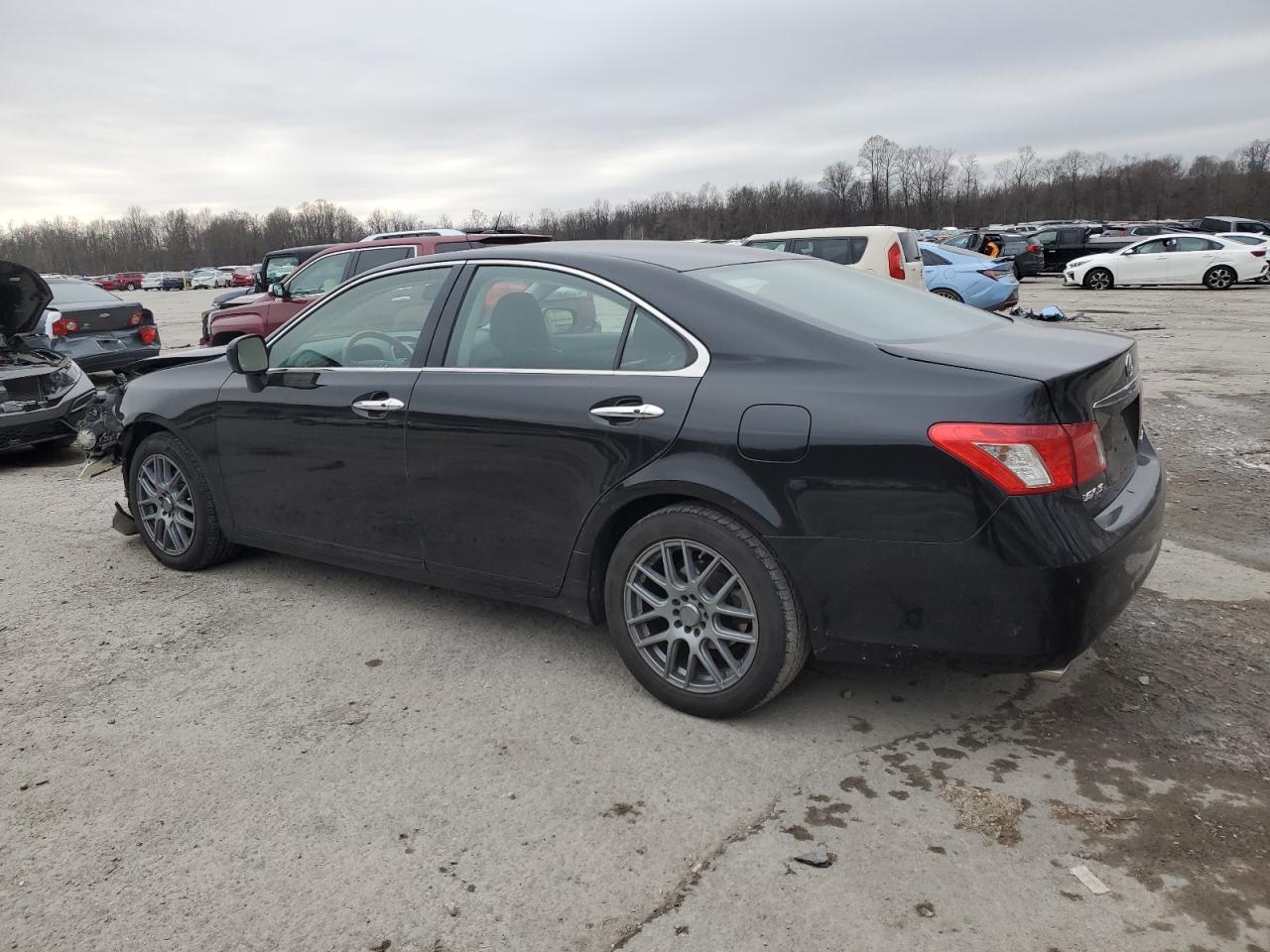 Lot #3028499949 2007 LEXUS ES 350