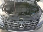 Lot #3024615641 2012 MERCEDES-BENZ ML 350 4MA