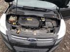 Lot #3023823913 2013 FORD ESCAPE SE