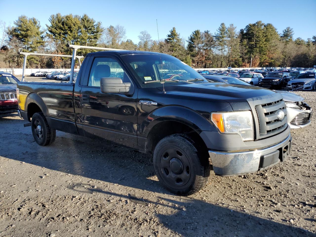 Lot #3029350693 2009 FORD F150