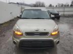 Lot #3025117279 2013 KIA SOUL