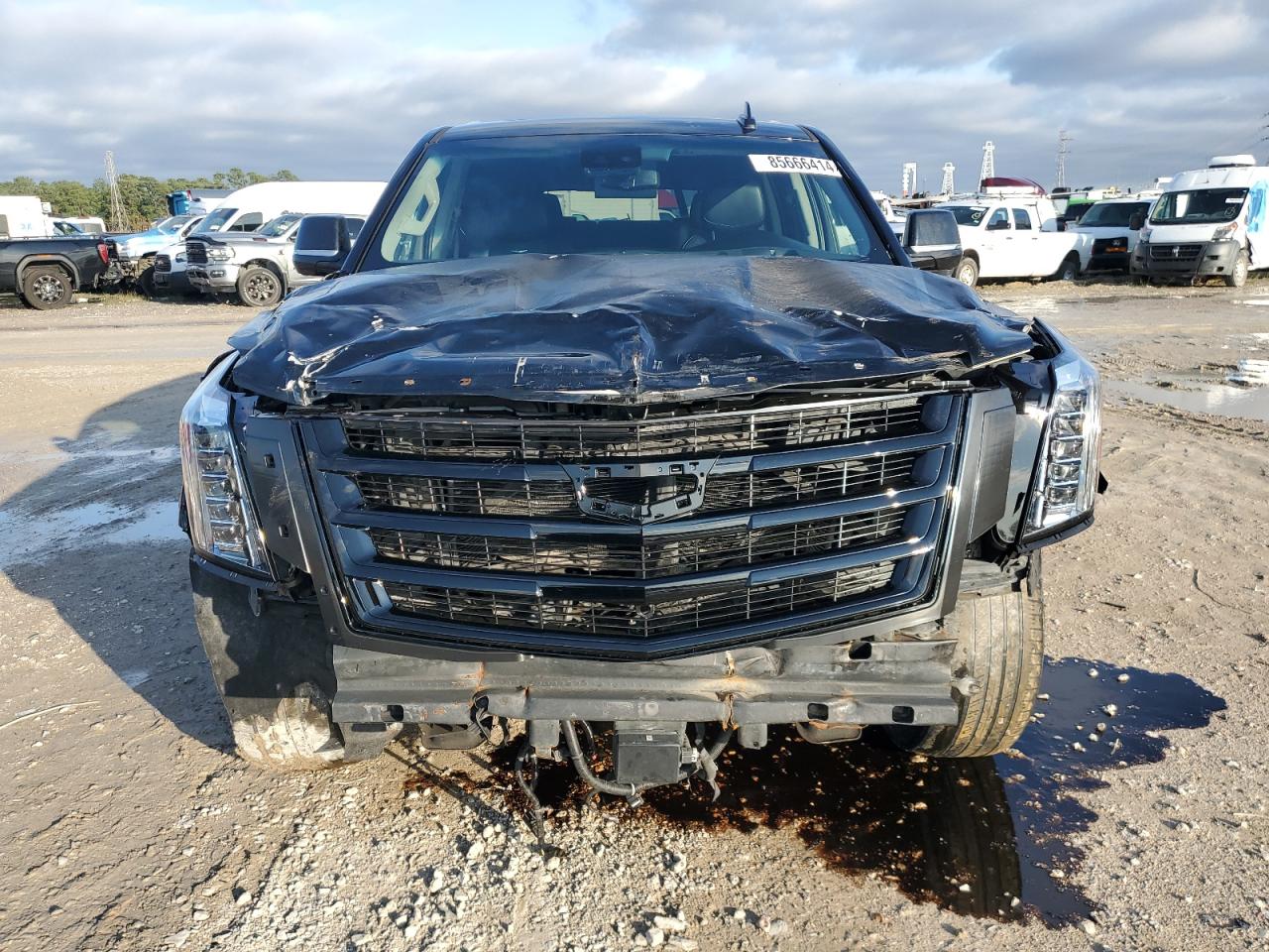 Lot #3029332705 2019 CADILLAC ESCALADE P