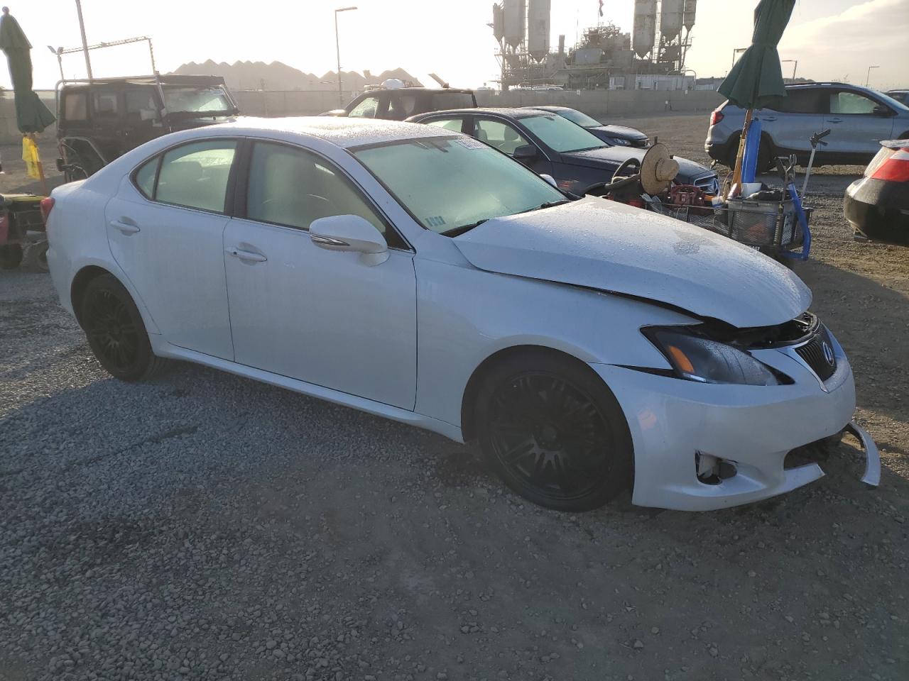 Lot #3029609093 2009 LEXUS IS 250