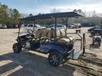 Lot #3029505358 2020 ASPT GOLF CART