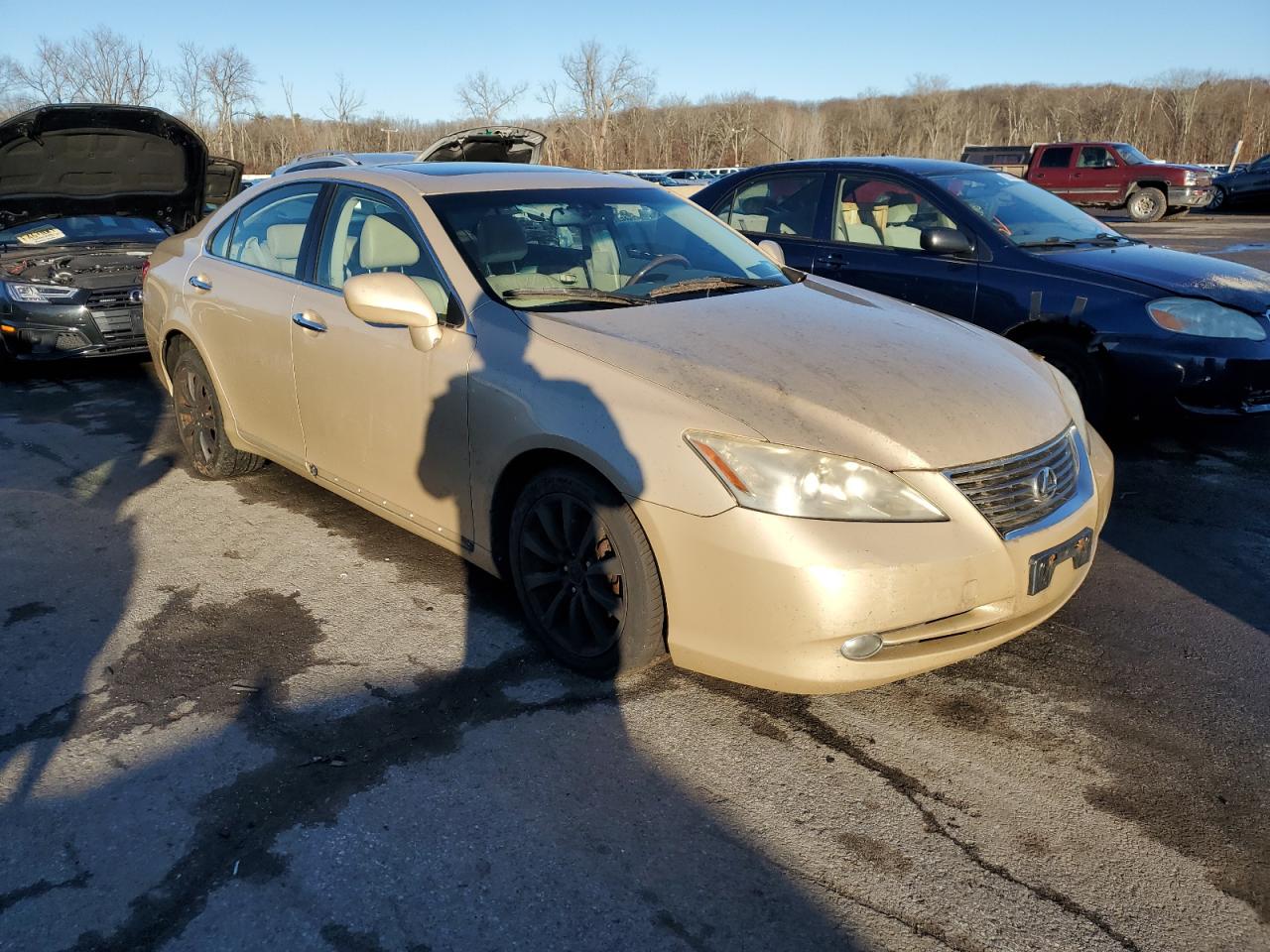 Lot #3033011994 2007 LEXUS ES 350