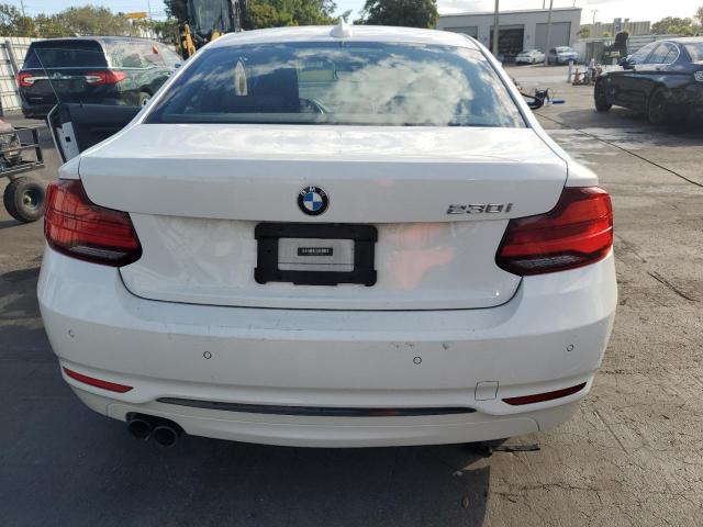 2021 BMW 230I WBA2J1C08M7H18416