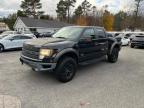 Lot #3023396371 2011 FORD F150 SVT R