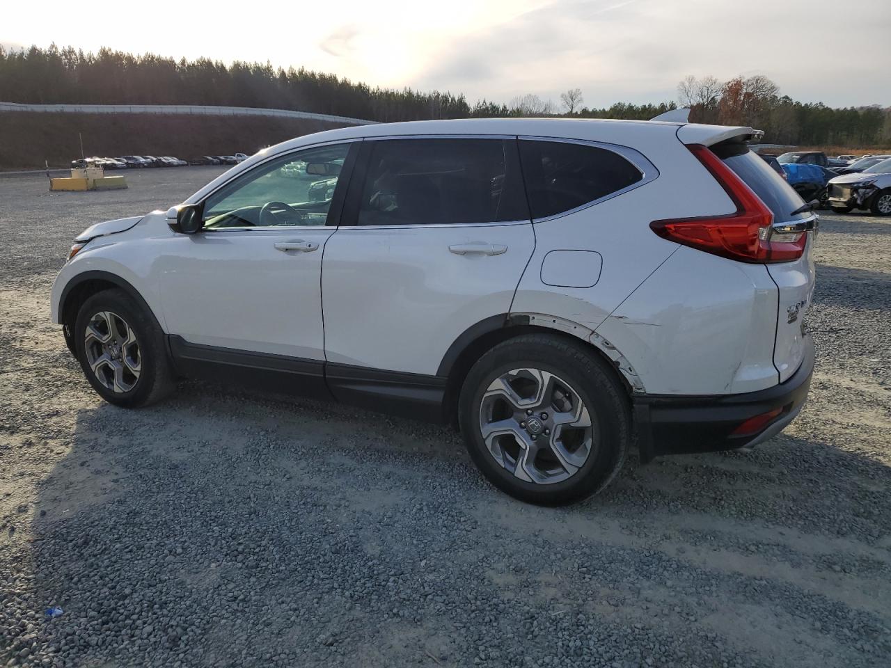 Lot #3034649383 2019 HONDA CR-V EXL