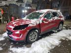 FORD ESCAPE SE снимка