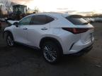 Lot #3056281391 2024 LEXUS NX 350 LUX