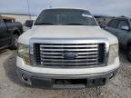 Lot #3025145225 2011 FORD F150 SUPER