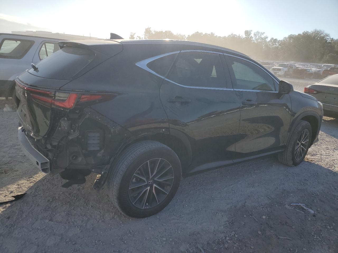 Lot #3033349860 2024 LEXUS NX 250 BAS