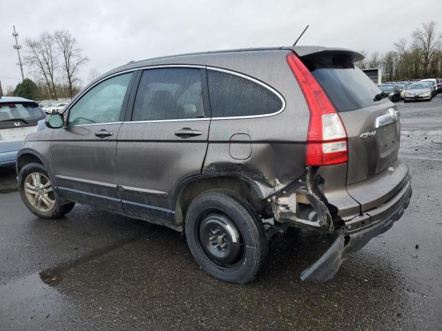 HONDA CR-V EXL 2010 brown  gas 5J6RE4H7XAL021742 photo #3