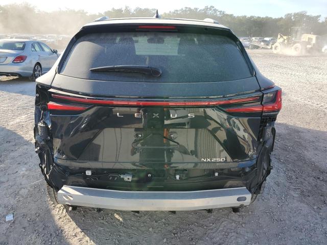 VIN 2T2ADCAZ3RC007806 2024 LEXUS NX 250 BAS no.6