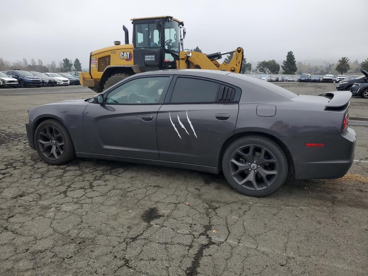 Lot #3030610094 2013 DODGE CHARGER SX