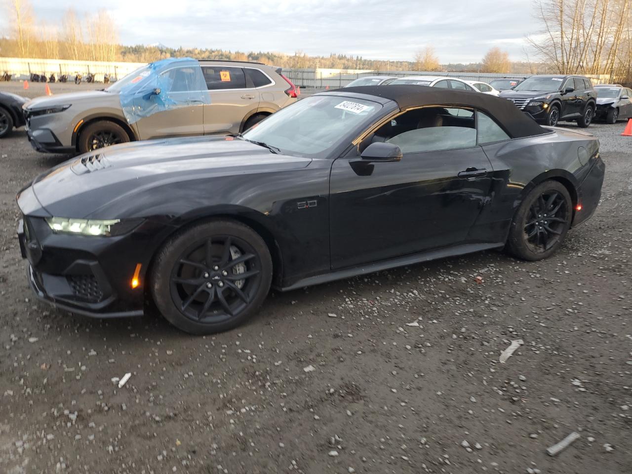 Lot #3041157133 2024 FORD MUSTANG GT