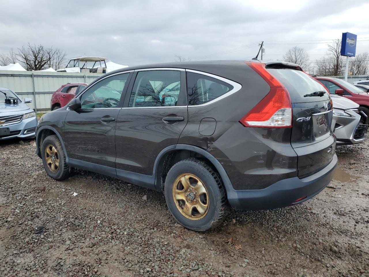 Lot #3024365557 2013 HONDA CR-V LX