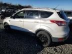 Lot #3025792313 2014 FORD ESCAPE TIT