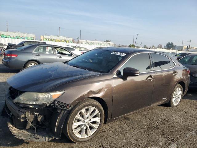 LEXUS ES 300H
