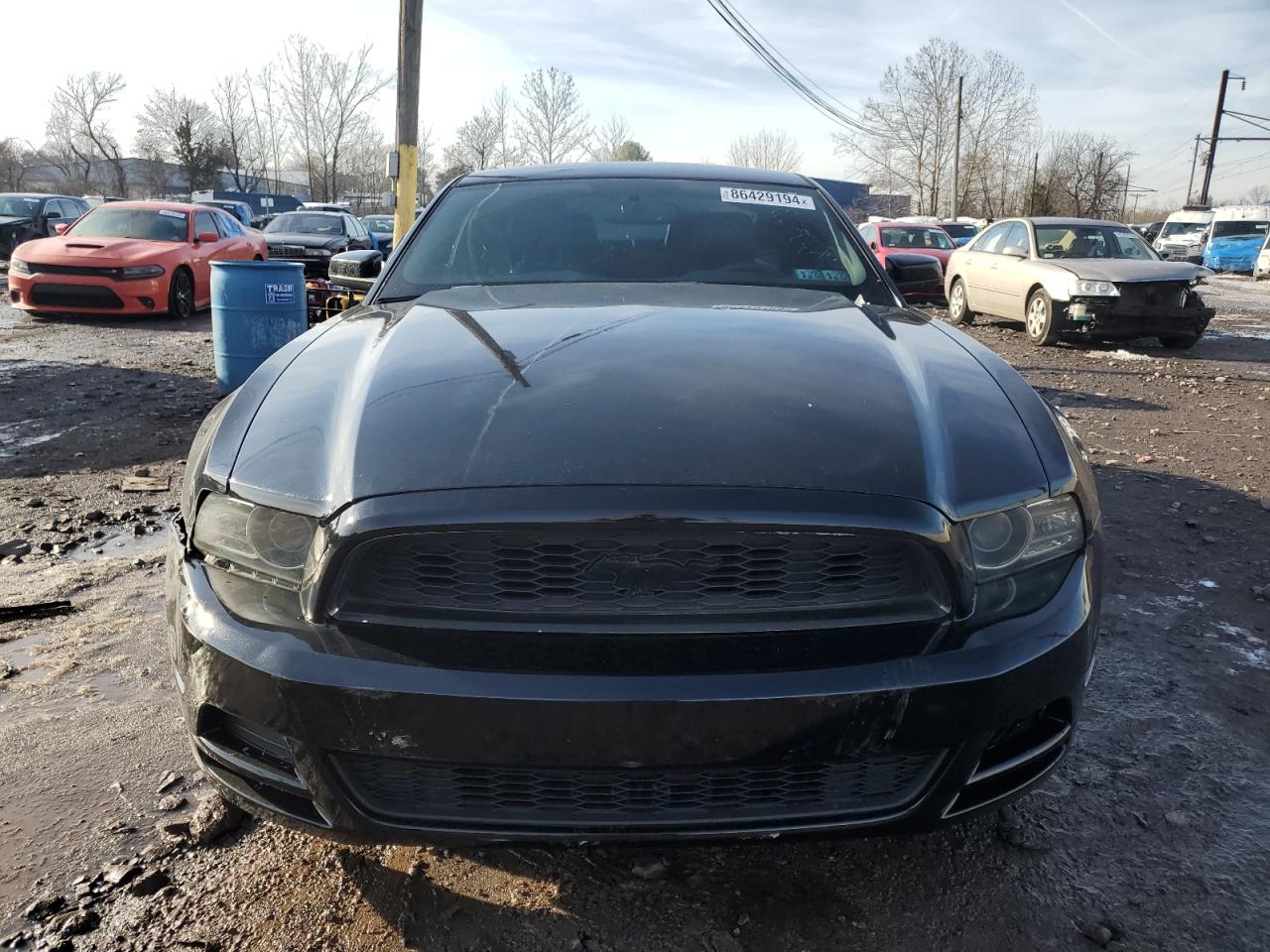 Lot #3038104189 2014 FORD MUSTANG