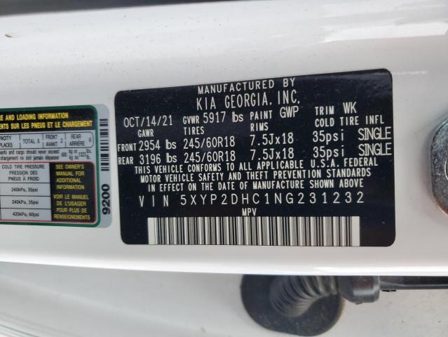 2022 KIA TELLURIDE - 5XYP2DHC1NG231232
